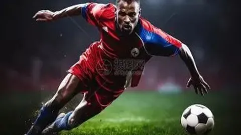 范迪克个人资料概述