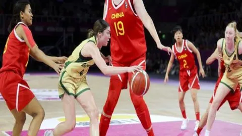 措利斯3000万欧领衔比甲转会，斯坦科维奇惊艳加盟引关注！