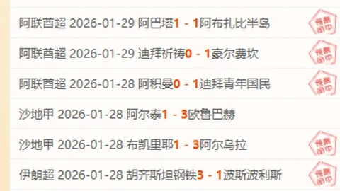 周四003欧罗巴分析：布拉加对阵弗赖堡专家推荐